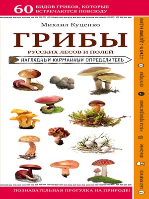 cover image of Грибы русских лесов и полей